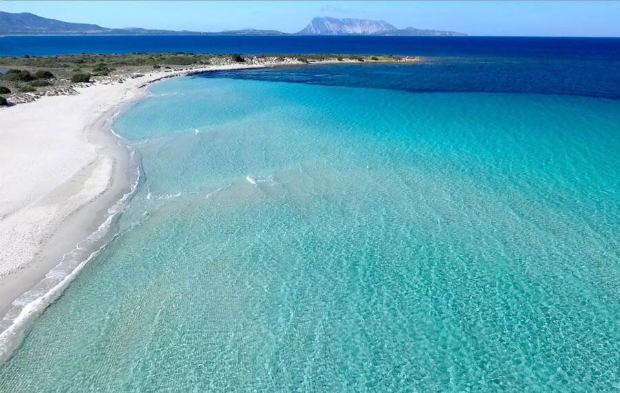 Trilocale Dory A San Teodoro Villa San Teodoro  Bagian luar foto